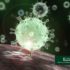 coronavirus-buzz-demo